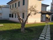 Esclusiva villa in vendita Mira, Italia