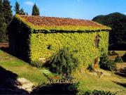 Esclusiva villa in vendita Pontassieve, Toscana