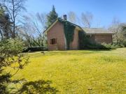 Esclusiva villa in vendita Via San Domenichino, Massa,...