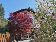 Esclusiva villa in vendita Viale Mottino, 24, Gignese,...