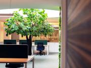 Escritório de 12m2 em Alcabideche