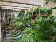 Escritorio mobiliado e equipado