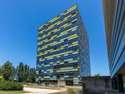 Escritório, Santa Marinha e São Pedro da Afurada