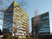 Escritório, Santa Marinha e São Pedro da Afurada