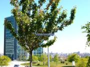 Escritório, Vila Nova de Gaia | BPI Expresso Imobiliário