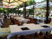 Esercizio commerciale in affitto a Montevarchi