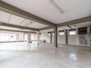 Esercizio commerciale in affitto a Pisa