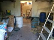 Esercizio commerciale in affitto a Pisa