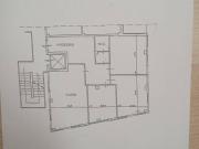 Esercizio commerciale in affitto a Pisa