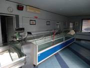 Esercizio commerciale in affitto a Viareggio