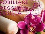 Esercizio commerciale in affitto a Viareggio