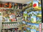 Esercizio commerciale in vendita a Torino