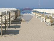Esercizio commerciale in vendita a Viareggio