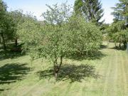 Esmans Vente Terrain 77