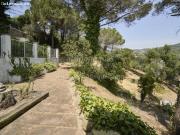 Espacio, Vistas y Potencial sin Límites en Los Pinares