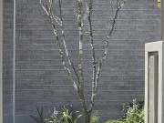 Casa en venta con cuarto en PB en Altozano, Anillo Vial...