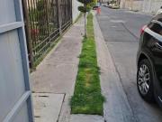 ESPECTACULAR CASA DAPADA PARA BODEGA, LAS AMERICAS ECATEPEC