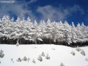 Espectacular casa de 4 dormitorios!