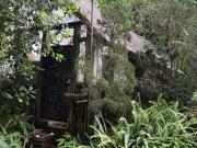 Espectacular casa estilo campestre en medio del bosque a...