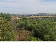 Espectacular finca en Arcos de la Frontera