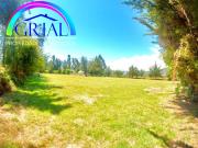 Espectacular parcela con agua y casa en El Monte Espectacular parcela con agua y casa en El Monte