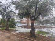 ESPECTACULAR PARCELA CON CASA EN ALQUILER EN URB. AGUASOL