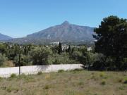 Espectacular parcela de más de 1.200 M2 en la zona más...