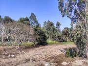 Espectacular Terreno 20,768 mt2 a U$60xM2, Bujama,...