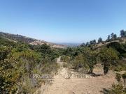 Espectacular terreno de 10ha