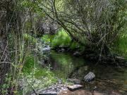 ESPECTACULAR TERRENO EN PARAJE DE LAS MAJADILLAS