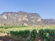 Espectacular Terreno en Venta en Tlayacapan  Morelos