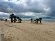 Espectacular vivienda en venta en Valdelagrana