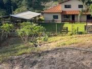 Espetacular Fazenda 42.5 hect. Município Santo Antônio à...