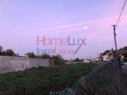 Espinho Espinho 100326266