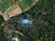 Esposende Braga 4740 000 85419563