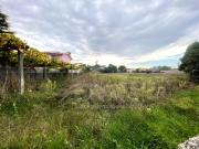 Esposende Esposende 95846327