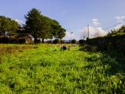 Esposende Esposende 98321661