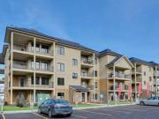 Essence At Windermere South Apartments for Rent 1029 173...
