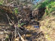 Esta herdade de 60,7 hectares, é composta por 3 terrenos...