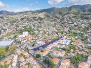 Esta quinta no Funchal é um verdadeiro paraíso natural