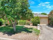 ESTABLISHED POCKET OF PARALOWIE!