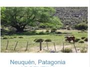 Estancia 22300 has. PIEDRA DEL AGUILA. Departamento de...