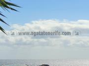 Estos estudios, perfectamente adaptados para uso...