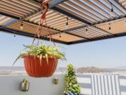 Estrena Casa en El Pueblito, Corregidora Viva con...