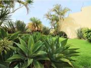 ESTRENA Casa en venta en Jardines de Ahuatlán,...