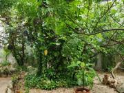 Estudio 42 m² 1 recámara en venta en Playa del Carmen