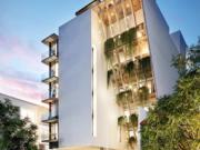 estudio, Agama, Playa del Carmen