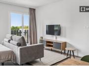 Estudio completo en Madrid