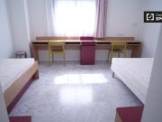 Estudio Doble Sevilla Media pensión incluida Precio por...