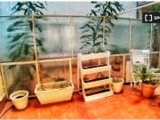 Estudio en alquiler en Arapiles